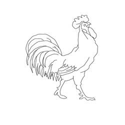 Disegno da colorare: Gallo (Animali) #4119 - Pagine da Colorare Stampabili Gratuite