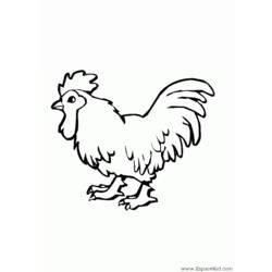 Disegno da colorare: Gallo (Animali) #4124 - Pagine da Colorare Stampabili Gratuite
