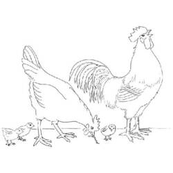 Disegno da colorare: Gallo (Animali) #4126 - Pagine da Colorare Stampabili Gratuite