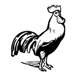 Disegno da colorare: Gallo (Animali) #4143 - Pagine da Colorare Stampabili Gratuite