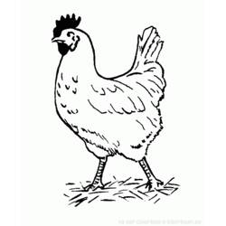 Disegno da colorare: Gallo (Animali) #4174 - Pagine da Colorare Stampabili Gratuite
