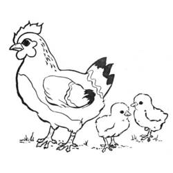 Disegno da colorare: Gallo (Animali) #4206 - Pagine da Colorare Stampabili Gratuite