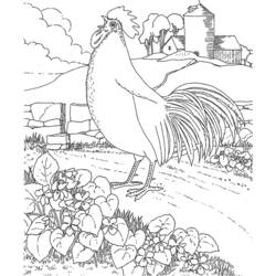 Disegno da colorare: Gallo (Animali) #4215 - Pagine da Colorare Stampabili Gratuite