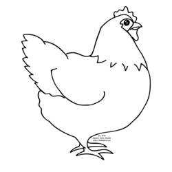 Disegno da colorare: Gallo (Animali) #4236 - Pagine da Colorare Stampabili Gratuite