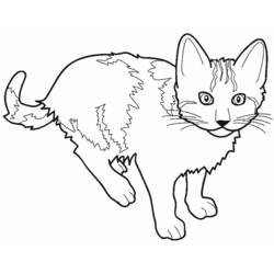 Disegno da colorare: Gattino (Animali) #18033 - Pagine da Colorare Stampabili Gratuite