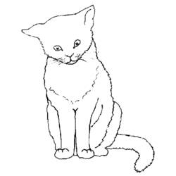 Disegno da colorare: Gattino (Animali) #18043 - Pagine da Colorare Stampabili Gratuite