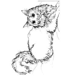 Disegno da colorare: Gattino (Animali) #18047 - Pagine da Colorare Stampabili Gratuite
