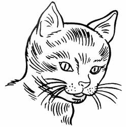 Disegno da colorare: Gattino (Animali) #18050 - Pagine da Colorare Stampabili Gratuite