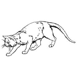 Disegno da colorare: Gattino (Animali) #18059 - Pagine da Colorare Stampabili Gratuite