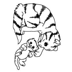 Disegno da colorare: Gattino (Animali) #18065 - Pagine da Colorare Stampabili Gratuite