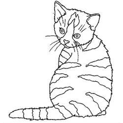 Disegno da colorare: Gattino (Animali) #18068 - Pagine da Colorare Stampabili Gratuite