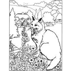 Disegno da colorare: Gattino (Animali) #18078 - Pagine da Colorare Stampabili Gratuite
