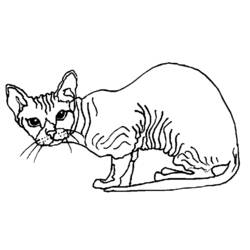 Disegno da colorare: Gattino (Animali) #18079 - Pagine da Colorare Stampabili Gratuite