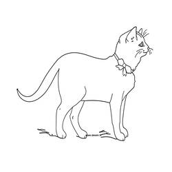 Disegno da colorare: Gattino (Animali) #18084 - Pagine da Colorare Stampabili Gratuite