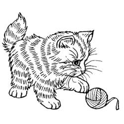 Disegno da colorare: Gattino (Animali) #18086 - Pagine da Colorare Stampabili Gratuite