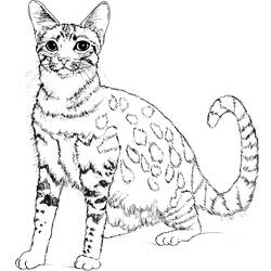 Disegno da colorare: Gattino (Animali) #18096 - Pagine da Colorare Stampabili Gratuite