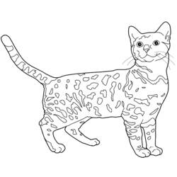 Disegno da colorare: Gattino (Animali) #18101 - Pagine da Colorare Stampabili Gratuite