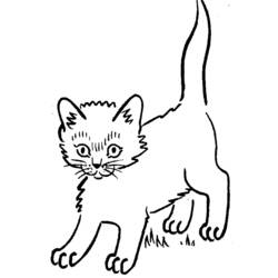 Disegno da colorare: Gattino (Animali) #18123 - Pagine da Colorare Stampabili Gratuite