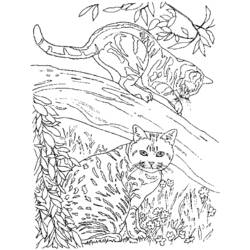 Disegno da colorare: Gattino (Animali) #18146 - Pagine da Colorare Stampabili Gratuite