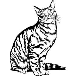 Disegno da colorare: Gattino (Animali) #18148 - Pagine da Colorare Stampabili Gratuite