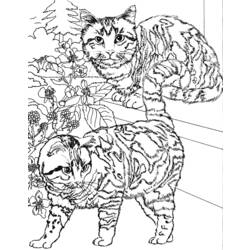 Disegno da colorare: Gattino (Animali) #18180 - Pagine da Colorare Stampabili Gratuite