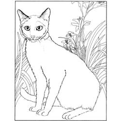 Disegno da colorare: Gattino (Animali) #18205 - Pagine da Colorare Stampabili Gratuite
