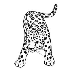 Disegno da colorare: Ghepardo (Animali) #7870 - Pagine da Colorare Stampabili Gratuite