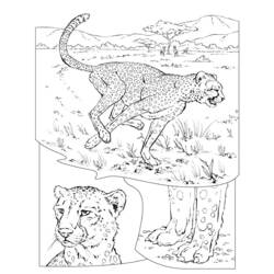 Disegno da colorare: Ghepardo (Animali) #7886 - Pagine da Colorare Stampabili Gratuite