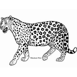 Disegno da colorare: Ghepardo (Animali) #7900 - Pagine da Colorare Stampabili Gratuite