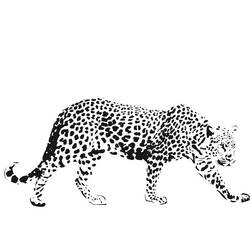 Disegno da colorare: Ghepardo (Animali) #7901 - Pagine da Colorare Stampabili Gratuite