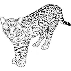 Disegno da colorare: Ghepardo (Animali) #7932 - Pagine da Colorare Stampabili Gratuite