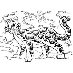 Disegno da colorare: Ghepardo (Animali) #7970 - Pagine da Colorare Stampabili Gratuite