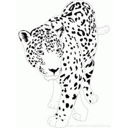 Disegno da colorare: Giaguaro (Animali) #9002 - Pagine da Colorare Stampabili Gratuite
