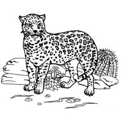 Disegno da colorare: Giaguaro (Animali) #9005 - Pagine da Colorare Stampabili Gratuite