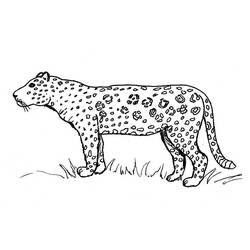 Disegno da colorare: Giaguaro (Animali) #9010 - Pagine da Colorare Stampabili Gratuite