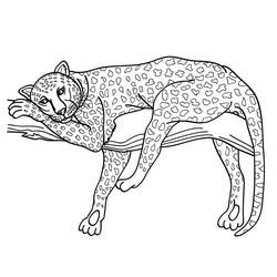 Disegno da colorare: Giaguaro (Animali) #9023 - Pagine da Colorare Stampabili Gratuite