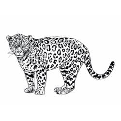 Disegno da colorare: Giaguaro (Animali) #9025 - Pagine da Colorare Stampabili Gratuite