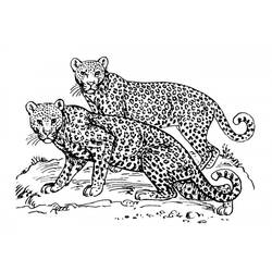 Disegno da colorare: Giaguaro (Animali) #9031 - Pagine da Colorare Stampabili Gratuite