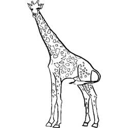 Disegno da colorare: Giraffa (Animali) #7219 - Pagine da Colorare Stampabili Gratuite
