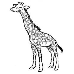 Disegno da colorare: Giraffa (Animali) #7223 - Pagine da Colorare Stampabili Gratuite