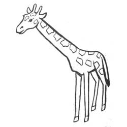 Disegno da colorare: Giraffa (Animali) #7230 - Pagine da Colorare Stampabili Gratuite