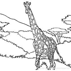 Disegno da colorare: Giraffa (Animali) #7240 - Pagine da Colorare Stampabili Gratuite