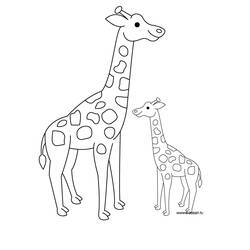 Disegno da colorare: Giraffa (Animali) #7259 - Pagine da Colorare Stampabili Gratuite