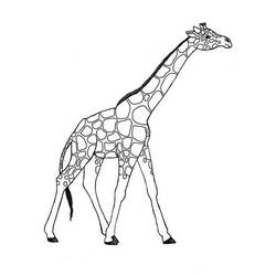 Disegno da colorare: Giraffa (Animali) #7260 - Pagine da Colorare Stampabili Gratuite