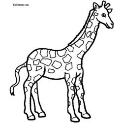 Disegne da colorare: Giraffa - Pagine da Colorare Stampabili Gratuite