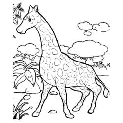 Disegno da colorare: Giraffa (Animali) #7262 - Pagine da Colorare Stampabili Gratuite