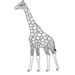 Disegno da colorare: Giraffa (Animali) #7275 - Pagine da Colorare Stampabili Gratuite