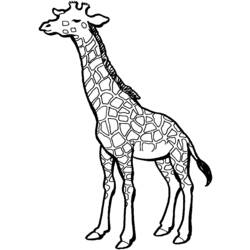 Disegno da colorare: Giraffa (Animali) #7291 - Pagine da Colorare Stampabili Gratuite