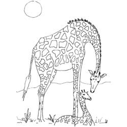 Disegno da colorare: Giraffa (Animali) #7302 - Pagine da Colorare Stampabili Gratuite