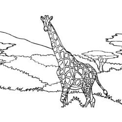 Disegno da colorare: Giraffa (Animali) #7305 - Pagine da Colorare Stampabili Gratuite